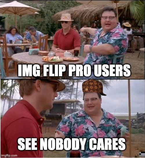 What i've heard not what i've done | IMG FLIP PRO USERS; SEE NOBODY CARES | image tagged in memes,see nobody cares | made w/ Imgflip meme maker