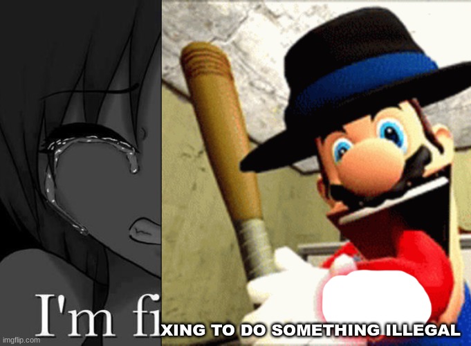 Mario's fixing to do something very illegal | XING TO DO SOMETHING ILLEGAL | image tagged in im fine | made w/ Imgflip meme maker