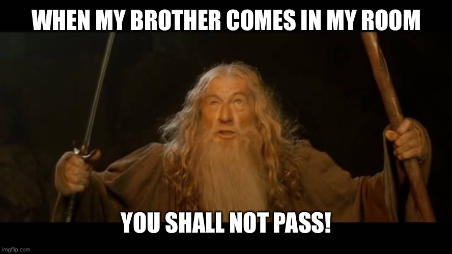 Literally it’s the worst | WHEN MY BROTHER COMES IN MY ROOM; YOU SHALL NOT PASS! | image tagged in gandalf - you shall not pass,annoying,family life | made w/ Imgflip meme maker