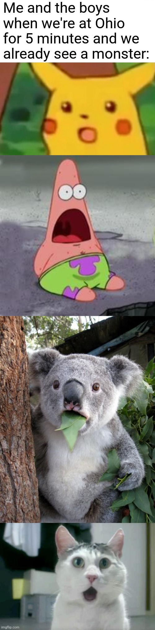 The Goofy Ahh State. | Me and the boys when we're at Ohio for 5 minutes and we already see a monster: | image tagged in memes,surprised pikachu,suprised patrick,surprised koala,omg cat | made w/ Imgflip meme maker