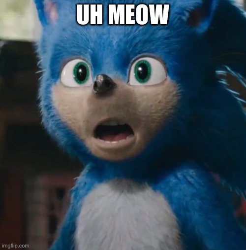 Sonic Movie | UH MEOW | image tagged in sonic movie,sonic the hedgehog | made w/ Imgflip meme maker