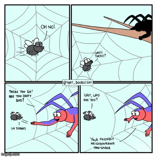 Man-Spider | image tagged in man-spider,spider-man,spiders,spider,comics,comics/cartoons | made w/ Imgflip meme maker
