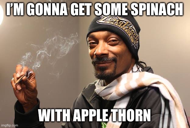 Those who know | I’M GONNA GET SOME SPINACH; WITH APPLE THORN | image tagged in snoop dogg,spinach,applethorn,weed,trippin' | made w/ Imgflip meme maker