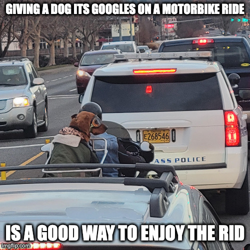 Motorbike Dog | GIVING A DOG ITS GOOGLES ON A MOTORBIKE RIDE; IS A GOOD WAY TO ENJOY THE RID | image tagged in memes,dogs | made w/ Imgflip meme maker