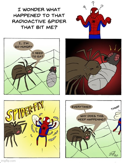SPIDER-FLY | image tagged in spider-fly,spider-man,radioactive,spider,comics,comics/cartoons | made w/ Imgflip meme maker