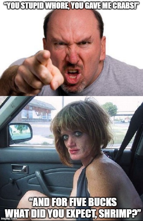 Get What You Pay For | “YOU STUPID WHORE, YOU GAVE ME CRABS!”; “AND FOR FIVE BUCKS WHAT DID YOU EXPECT, SHRIMP?” | image tagged in angry man pointing,crack whore hooker | made w/ Imgflip meme maker