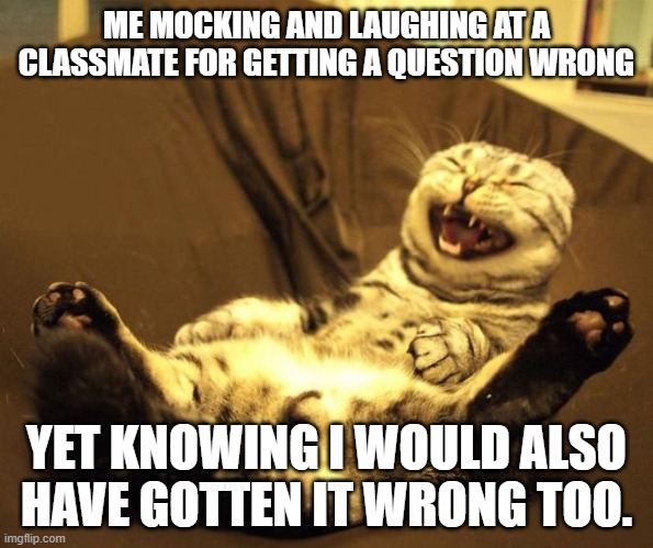 laughing cat | ME MOCKING AND LAUGHING AT A CLASSMATE FOR GETTING A QUESTION WRONG; YET KNOWING I WOULD ALSO HAVE GOTTEN IT WRONG TOO. | image tagged in laughing cat | made w/ Imgflip meme maker