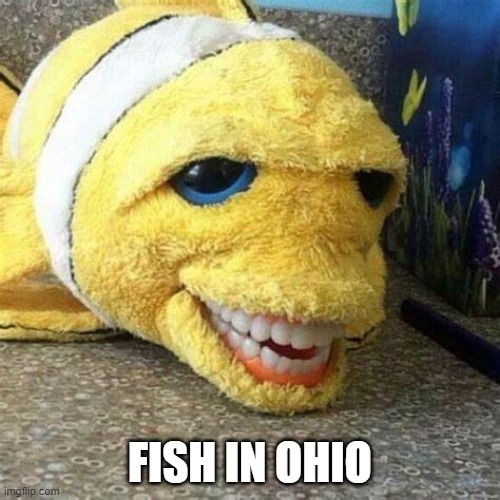 Fish on Ohio | FISH IN OHIO | image tagged in memes,meme,ohio,fish,makes sense | made w/ Imgflip meme maker