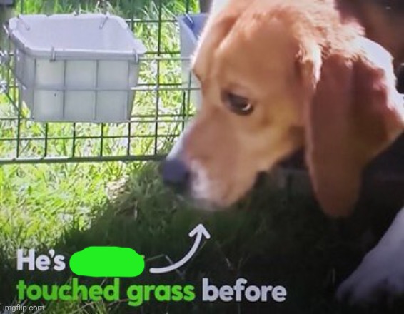 Good ending | image tagged in he's never touched grass before | made w/ Imgflip meme maker