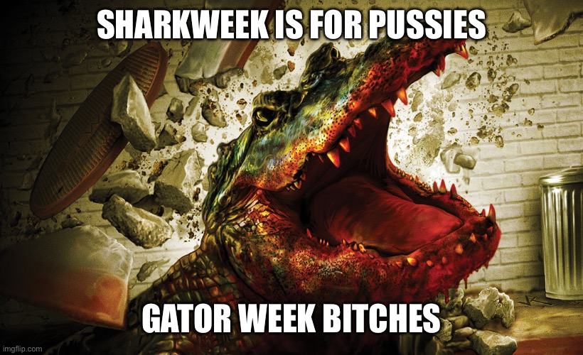 Gatorweek | SHARKWEEK IS FOR PUSSIES; GATOR WEEK BITCHES | image tagged in shark week | made w/ Imgflip meme maker
