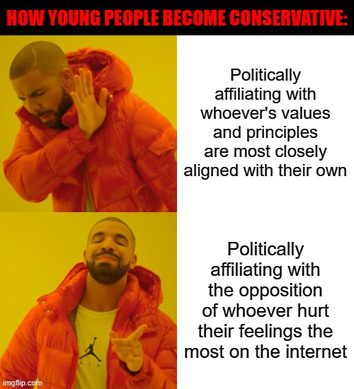 What are your values and principles? What can you do to better live up to your own values and principles? | HOW YOUNG PEOPLE BECOME CONSERVATIVE:; Politically affiliating with whoever's values and principles are most closely aligned with their own; Politically affiliating with the opposition of whoever hurt their feelings the most on the internet | image tagged in memes,drake hotline bling,conservative logic,hurt feelings,emotions,offended | made w/ Imgflip meme maker