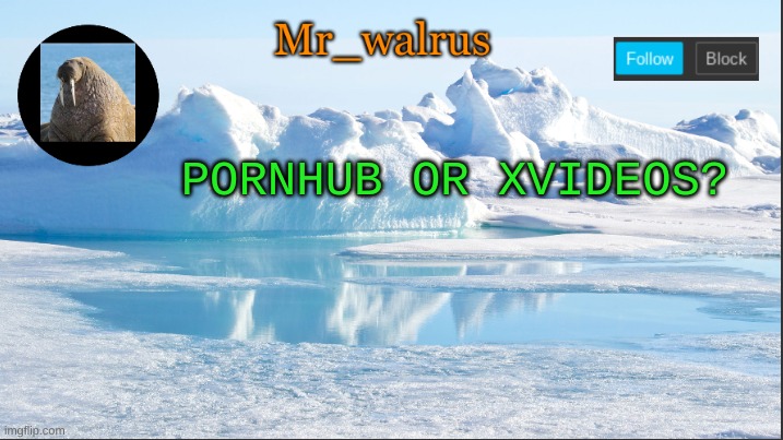 Mr_walrus | PORNHUB OR XVIDEOS? | image tagged in mr_walrus | made w/ Imgflip meme maker