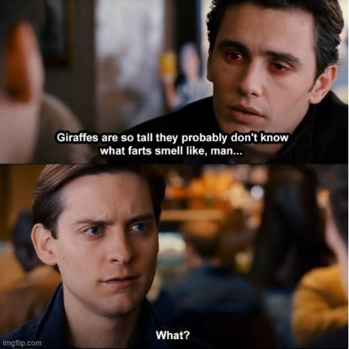 High Harry | image tagged in spiderman,bully maguire,high harry | made w/ Imgflip meme maker