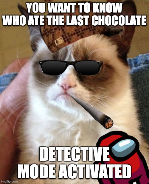 Grumpy Cat Meme | YOU WANT TO KNOW WHO ATE THE LAST CHOCOLATE; DETECTIVE MODE ACTIVATED | image tagged in memes,grumpy cat | made w/ Imgflip meme maker