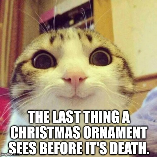 Christmas Kitty | THE LAST THING A CHRISTMAS ORNAMENT SEES BEFORE IT'S DEATH. | image tagged in memes,smiling cat | made w/ Imgflip meme maker