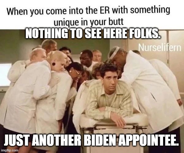 Can someone photoshop Buttgeig's face here please? | NOTHING TO SEE HERE FOLKS. JUST ANOTHER BIDEN APPOINTEE. | image tagged in can someone photoshop buttgeig's face here please | made w/ Imgflip meme maker