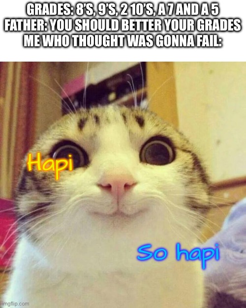Smiling Cat Meme | GRADES: 8’S, 9’S, 2 10’S, A 7 AND A 5
FATHER: YOU SHOULD BETTER YOUR GRADES
ME WHO THOUGHT WAS GONNA FAIL:; Hapi; So hapi | image tagged in memes,smiling cat | made w/ Imgflip meme maker