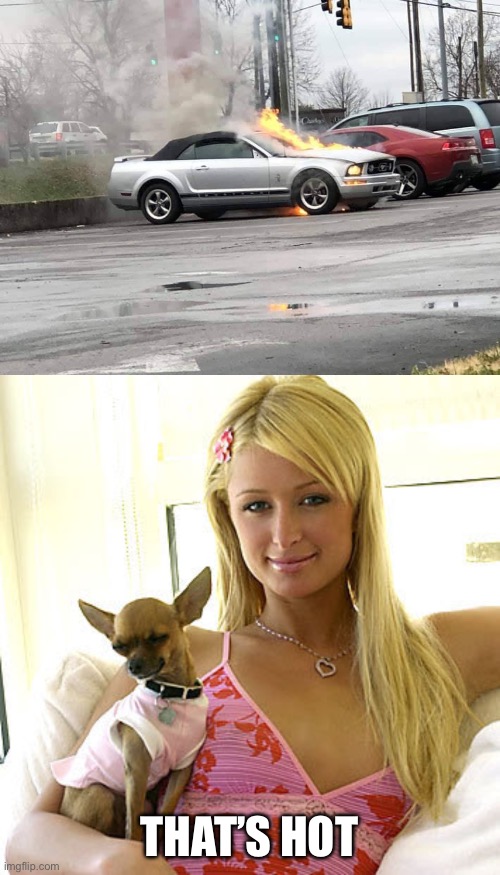 Hot car | THAT’S HOT | image tagged in paris hilton,hot,car,convertible | made w/ Imgflip meme maker