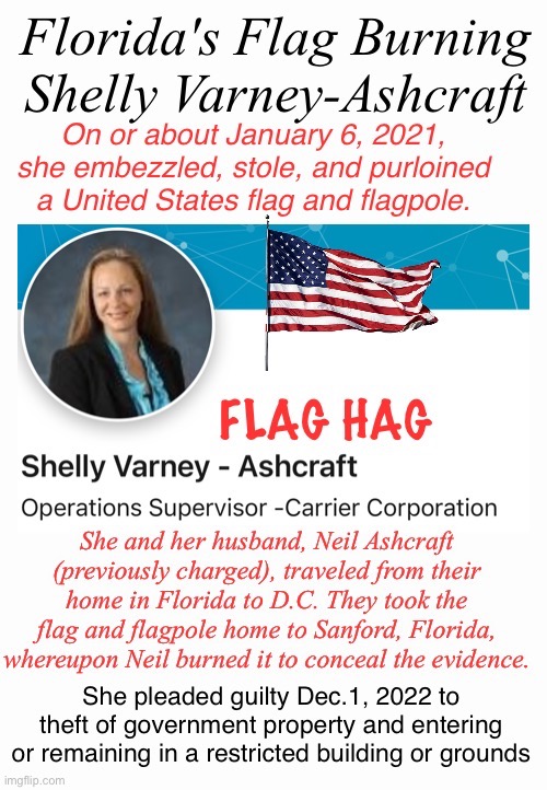 Shelly Didn't Burn Her Bra | image tagged in treason,thief,american flag,partners in crime,loser,meanwhile in florida | made w/ Imgflip meme maker