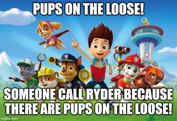 Paw Patrol  |  PUPS ON THE LOOSE! SOMEONE CALL RYDER BECAUSE THERE ARE PUPS ON THE LOOSE! | image tagged in paw patrol | made w/ Imgflip meme maker