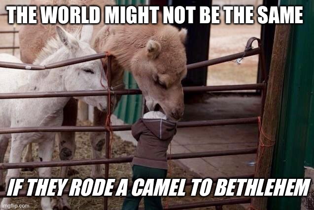 THE WORLD MIGHT NOT BE THE SAME IF THEY RODE A CAMEL TO BETHLEHEM | made w/ Imgflip meme maker