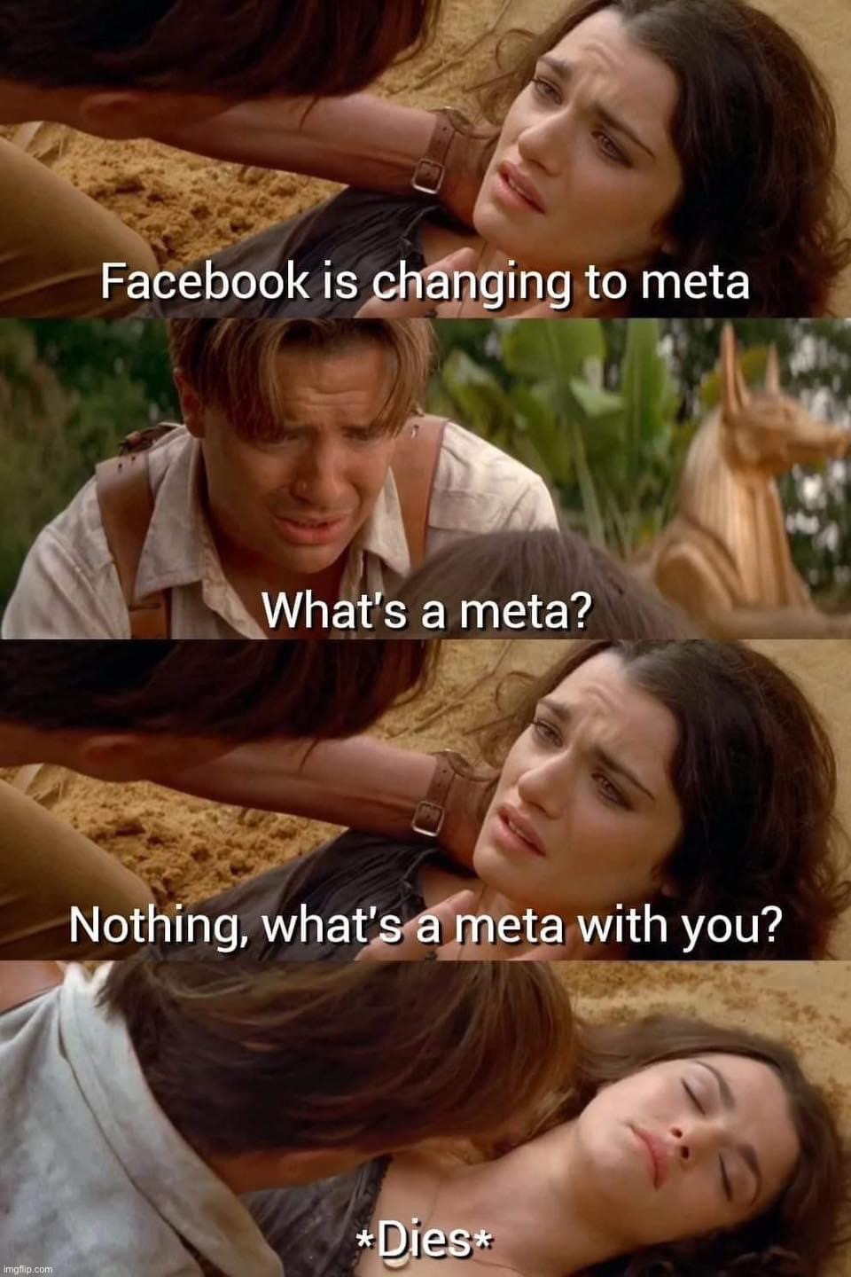 What’s a meta | image tagged in what s a meta | made w/ Imgflip meme maker