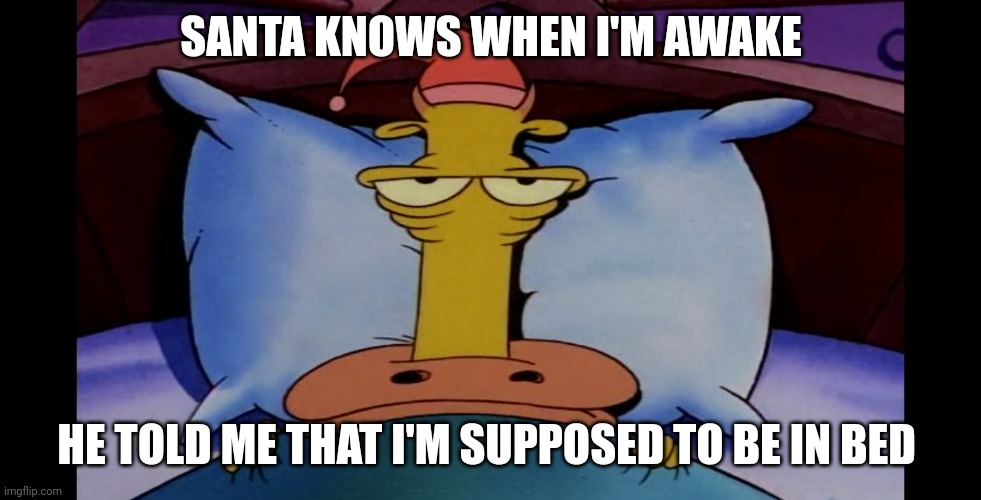 Heftier from Rocko's Modern Life | SANTA KNOWS WHEN I'M AWAKE; HE TOLD ME THAT I'M SUPPOSED TO BE IN BED | image tagged in heftier from rocko's modern life | made w/ Imgflip meme maker