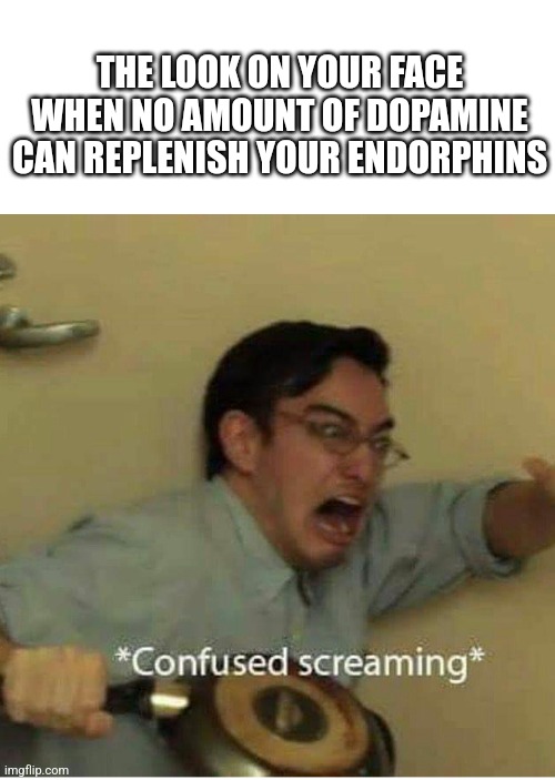 confused screaming | THE LOOK ON YOUR FACE WHEN NO AMOUNT OF DOPAMINE CAN REPLENISH YOUR ENDORPHINS | image tagged in confused screaming | made w/ Imgflip meme maker