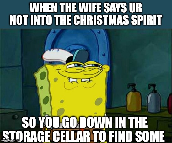 Don't You Squidward | WHEN THE WIFE SAYS UR NOT INTO THE CHRISTMAS SPIRIT; SO YOU GO DOWN IN THE STORAGE CELLAR TO FIND SOME | image tagged in memes,don't you squidward | made w/ Imgflip meme maker