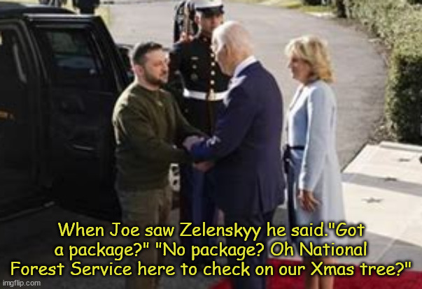 UPS? Forest Ranger? | When Joe saw Zelenskyy he said."Got a package?" "No package? Oh National Forest Service here to check on our Xmas tree?" | image tagged in joe biden,zelenskyy,ups,us forest sevice,xmas tree | made w/ Imgflip meme maker