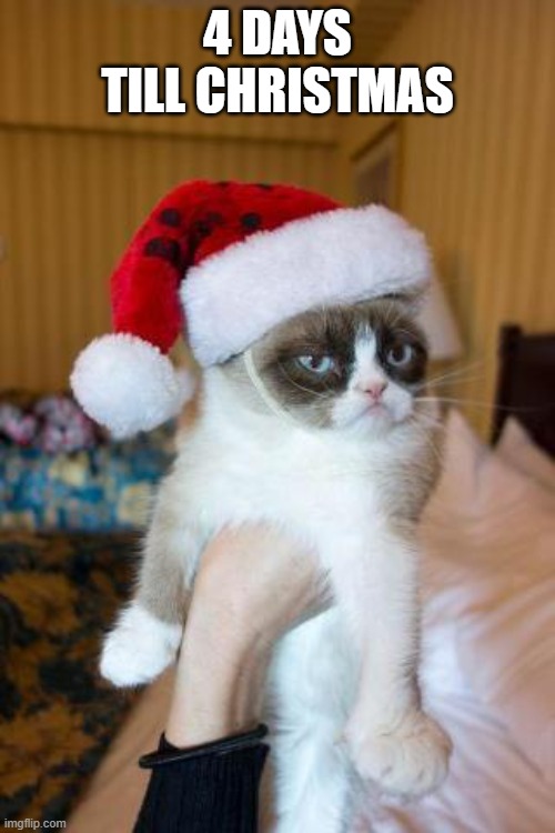 :D | 4 DAYS TILL CHRISTMAS | image tagged in memes,grumpy cat christmas,grumpy cat | made w/ Imgflip meme maker