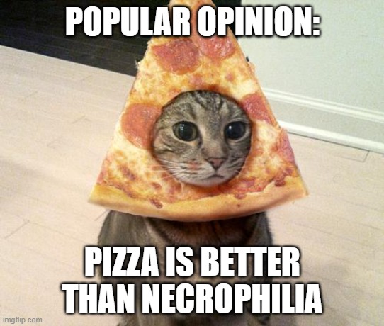 clever title | POPULAR OPINION:; PIZZA IS BETTER THAN NECROPHILIA | image tagged in pizza cat | made w/ Imgflip meme maker