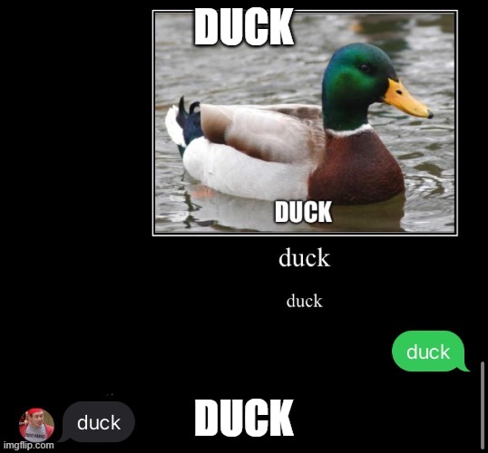 duck | DUCK; DUCK | image tagged in duck | made w/ Imgflip meme maker