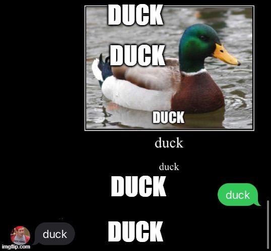 duck | DUCK; DUCK | made w/ Imgflip meme maker