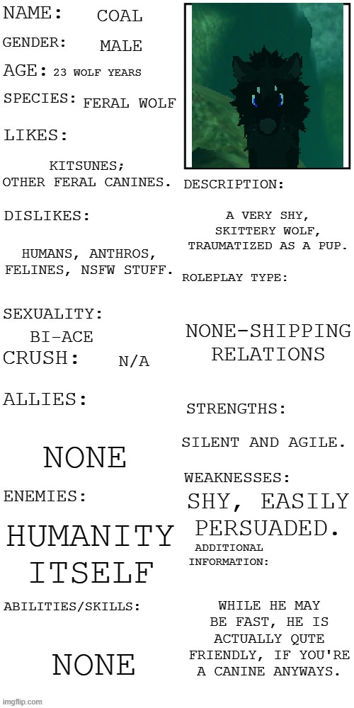part 2 of Coal's desc. | COAL; MALE; 23 WOLF YEARS; FERAL WOLF; KITSUNES; OTHER FERAL CANINES. A VERY SHY, SKITTERY WOLF, TRAUMATIZED AS A PUP. HUMANS, ANTHROS, FELINES, NSFW STUFF. NONE-SHIPPING RELATIONS; BI-ACE; N/A; SILENT AND AGILE. NONE; SHY, EASILY PERSUADED. HUMANITY ITSELF; WHILE HE MAY BE FAST, HE IS ACTUALLY QUTE FRIENDLY, IF YOU'RE A CANINE ANYWAYS. NONE | made w/ Imgflip meme maker