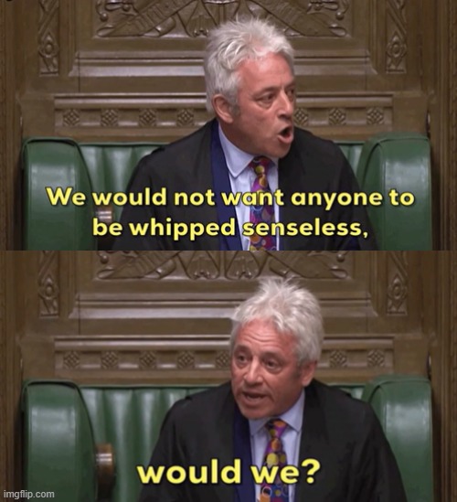 We would not want anyone to be whipped senseless would we | image tagged in we would not want anyone to be whipped senseless would we | made w/ Imgflip meme maker