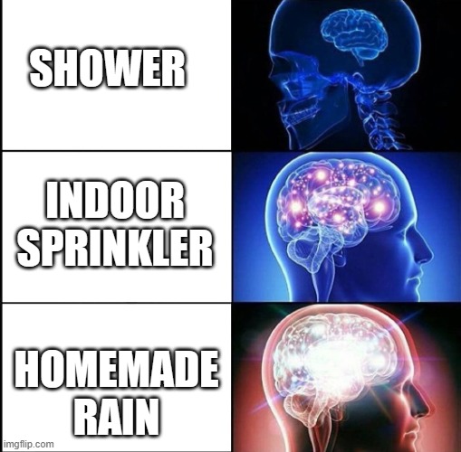 Facts XD | SHOWER HOMEMADE RAIN INDOOR SPRINKLER | image tagged in 1000 iq | made w/ Imgflip meme maker