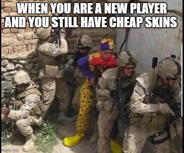 every new player be like | WHEN YOU ARE A NEW PLAYER AND YOU STILL HAVE CHEAP SKINS | image tagged in gaming | made w/ Imgflip meme maker