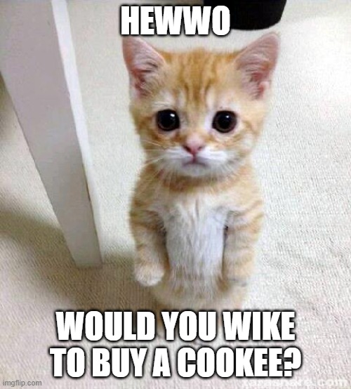 Cute Cat | HEWWO; WOULD YOU WIKE TO BUY A COOKEE? | image tagged in memes,cute cat,cookee,buy a cookie,hewwo | made w/ Imgflip meme maker