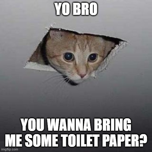 Ceiling Cat Meme | YO BRO; YOU WANNA BRING ME SOME TOILET PAPER? | image tagged in memes,ceiling cat,toilet paper,cat,perfect | made w/ Imgflip meme maker