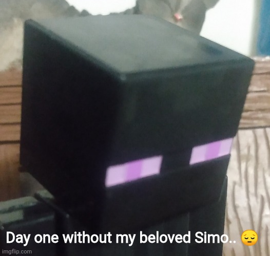 I'm gonna go offline for the day. I'm too sad and stressed rn. See y'all tomorrow. | Day one without my beloved Simo.. 😔 | image tagged in enderman stare | made w/ Imgflip meme maker