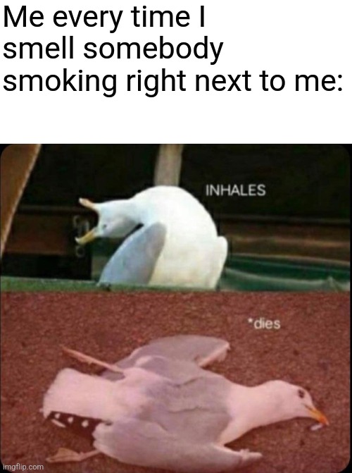 I just hate it. | Me every time I smell somebody smoking right next to me: | image tagged in blank white template,inhales dies bird | made w/ Imgflip meme maker