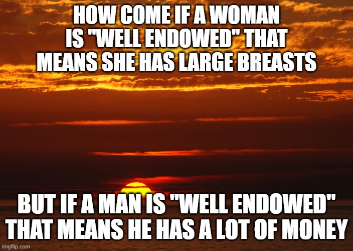 Sunset Deep Thoughts | HOW COME IF A WOMAN IS "WELL ENDOWED" THAT MEANS SHE HAS LARGE BREASTS; BUT IF A MAN IS "WELL ENDOWED" THAT MEANS HE HAS A LOT OF MONEY | image tagged in sunset deep thoughts | made w/ Imgflip meme maker