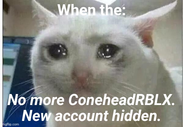 Goodbye | When the:; No more ConeheadRBLX. New account hidden. | image tagged in crying cat | made w/ Imgflip meme maker