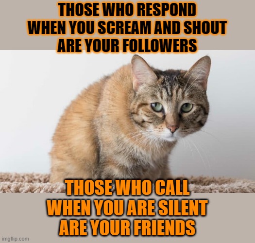 This #lolcat wonders how many of your friends are really just followers | THOSE WHO RESPOND
WHEN YOU SCREAM AND SHOUT
ARE YOUR FOLLOWERS; THOSE WHO CALL
WHEN YOU ARE SILENT
ARE YOUR FRIENDS | image tagged in friendship,attention,lolcat,think about it,awareness | made w/ Imgflip meme maker