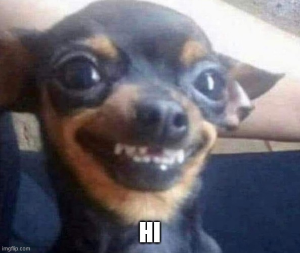 Excited doggie | HI | image tagged in excited doggie | made w/ Imgflip meme maker