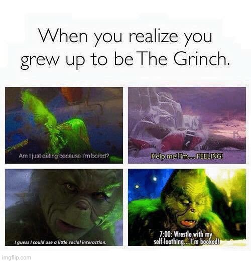 literally me | image tagged in grinch | made w/ Imgflip meme maker