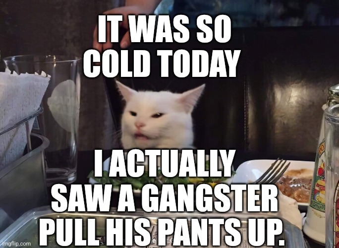 IT WAS SO COLD TODAY; I ACTUALLY SAW A GANGSTER PULL HIS PANTS UP. | image tagged in smudge the cat | made w/ Imgflip meme maker