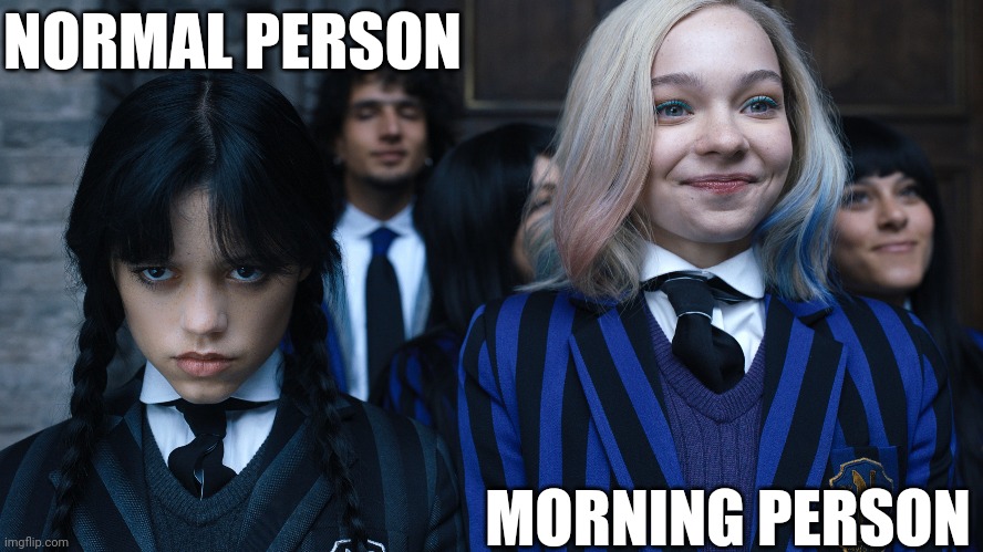 Morning People Are Mental | NORMAL PERSON; MORNING PERSON | image tagged in wednesday,addams family,morning | made w/ Imgflip meme maker