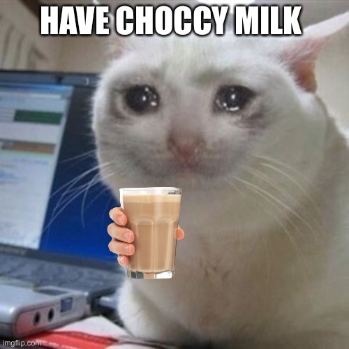 Crying cat | HAVE CHOCCY MILK | image tagged in crying cat,choccy milk | made w/ Imgflip meme maker
